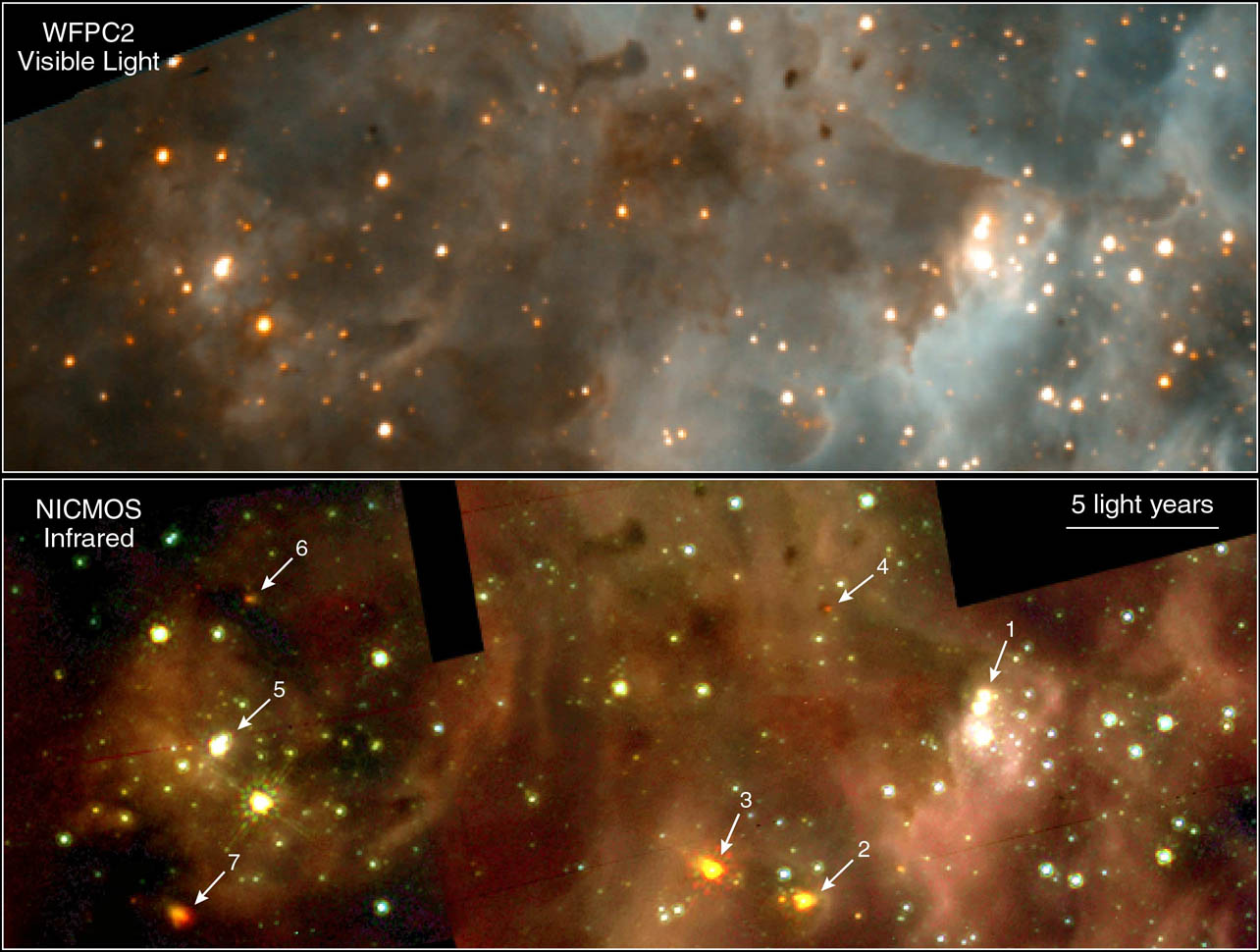 30Doradus Nebula - closer.jpg